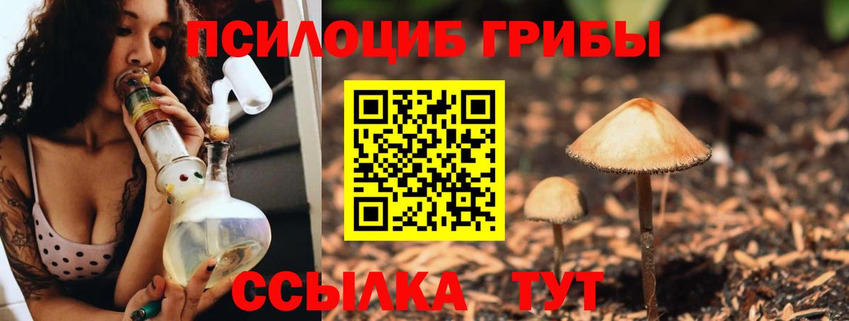 Псилоцибиновые грибы MAGIC MUSHROOMS Куйбышев