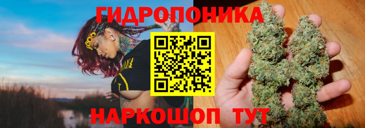 Каннабис Ganja  Канабис семена  Вход с VPN  Конопля индика  Бошки Шишки MAZAR  Куйбышев 